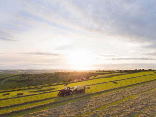 Tractor in field